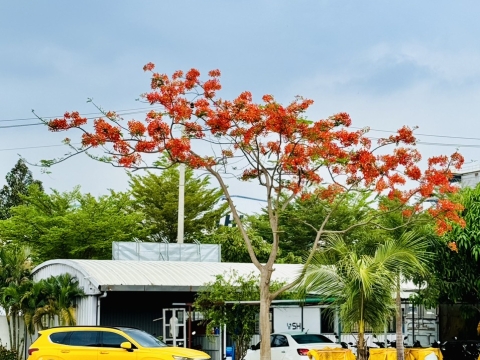 Team Vương Anh đã hoàn thành ctrinh SHL ASEAN
